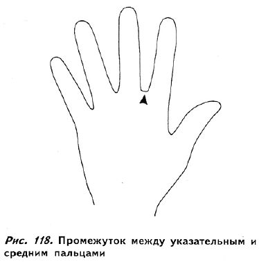 Полное руководство по хиромантии: Секреты чтения ладони _116.jpg