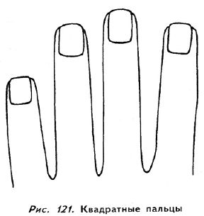 Полное руководство по хиромантии: Секреты чтения ладони _119.jpg