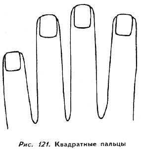 Полное руководство по хиромантии: Секреты чтения ладони _120.jpg