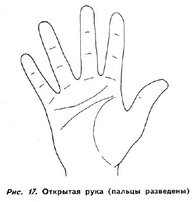 Полное руководство по хиромантии: Секреты чтения ладони _16.jpg