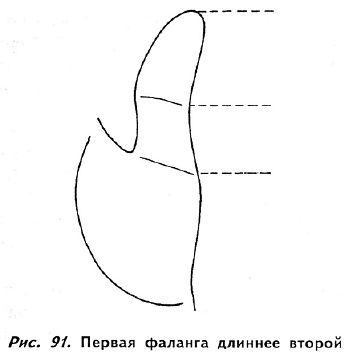 Полное руководство по хиромантии: Секреты чтения ладони _89.jpg