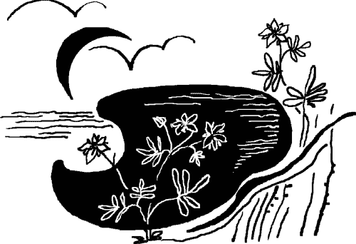Сабельник — болотный целитель i_001.png