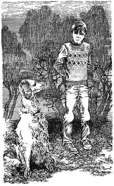 Половина собаки i_004.png
