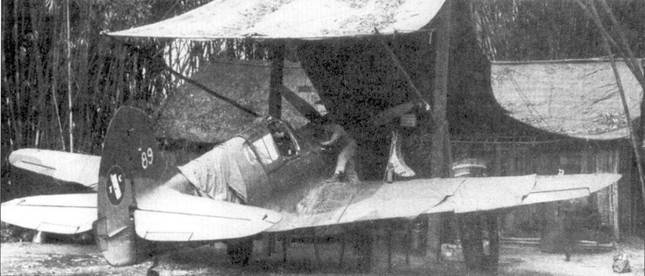 Curtiss P-40 часть 4 pic_25.jpg