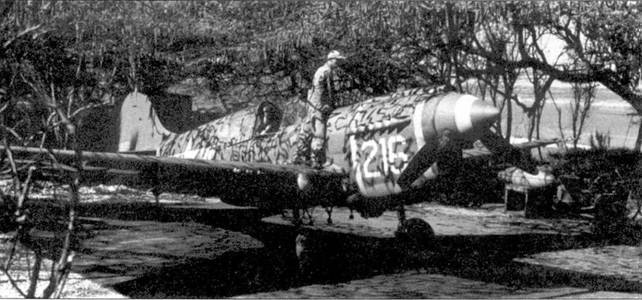 Curtiss P-40 часть 4 pic_81.jpg