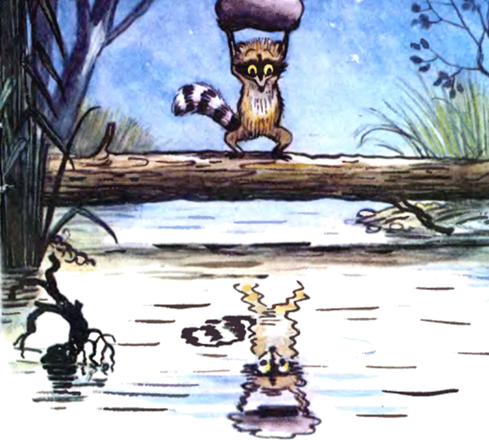 Крошка Енот и тот, кто сидит в пруду (с илл.) image10.png