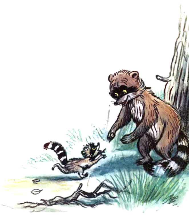 Крошка Енот и тот, кто сидит в пруду (с илл.) image14.png