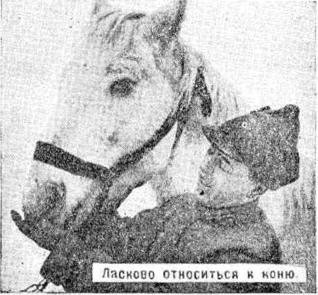 Боевой товарищ. Лошадь и уход за ней i_004.jpg